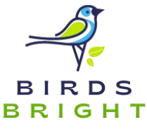 birdsbright